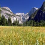 Yosemite National park : La Sierra Nevada dans toute sa splendeur