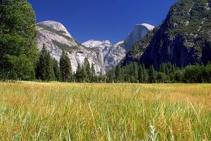 Yosemite National park : La Sierra Nevada dans toute sa splendeur