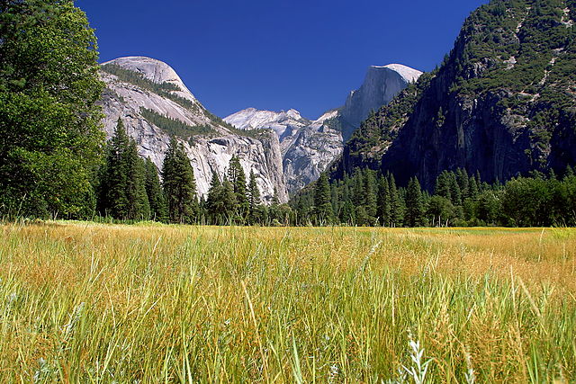 You are currently viewing Yosemite National park : La Sierra Nevada dans toute sa splendeur