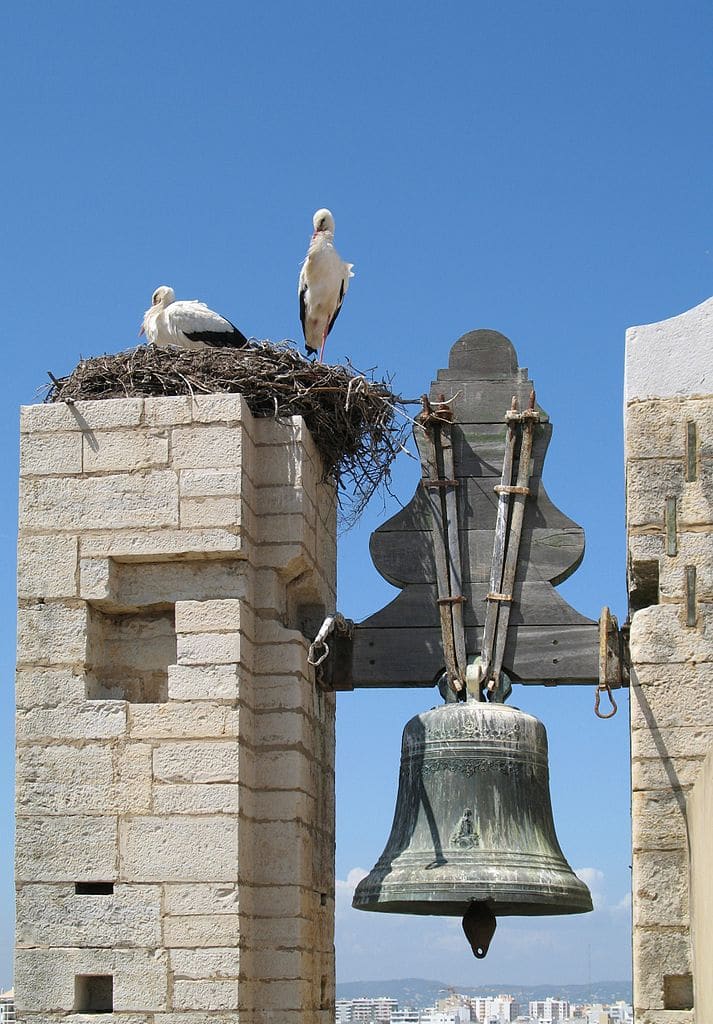 Nids de cigognes à Faro - Photo de Marc Ryckaert