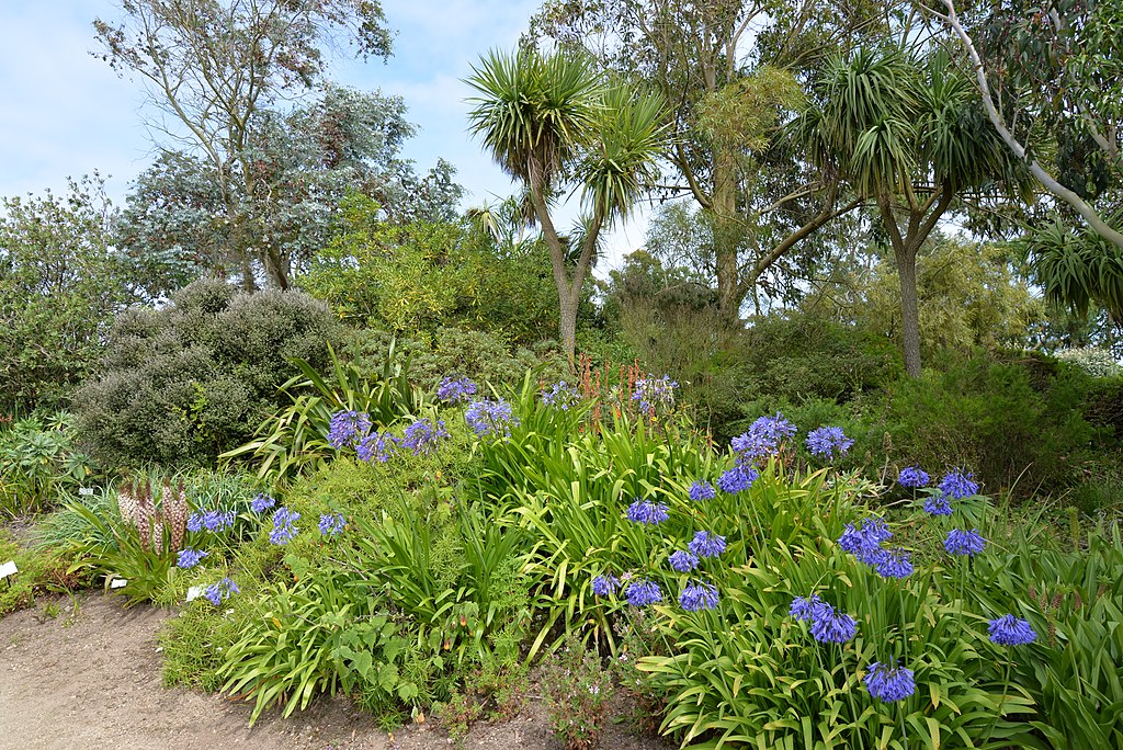 Jardin exotique de Roscoff en Bretagne - Photo de Calips - Licence ccbysa 3.0