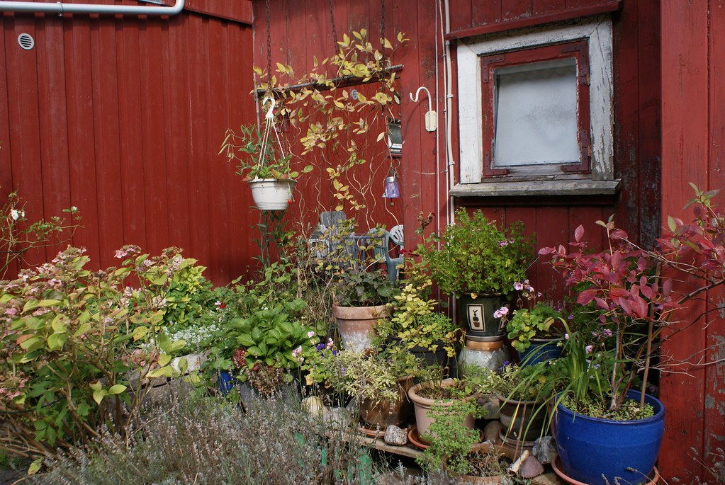 Christiania a des airs de 3e jardin botanique de Copenhague.