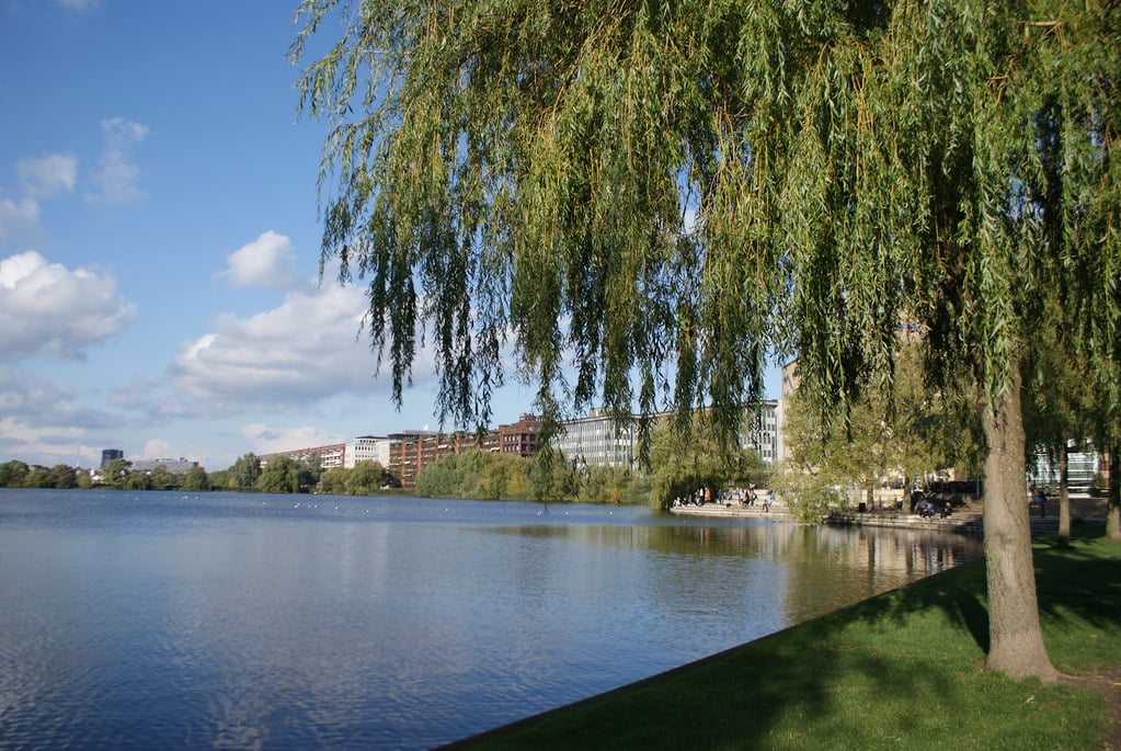 Lac du Sankt Jorgensen So à Copenhague à la limite entre Frederiksberg et Vesterbro.