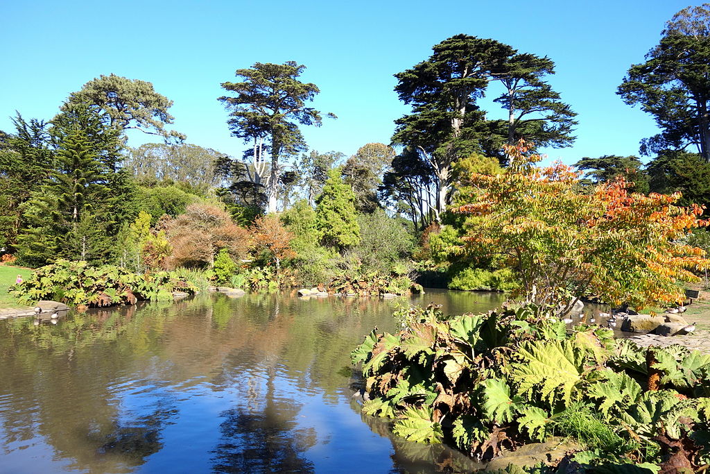 Jardin botanique du Golden Gate Park à San Francisco.