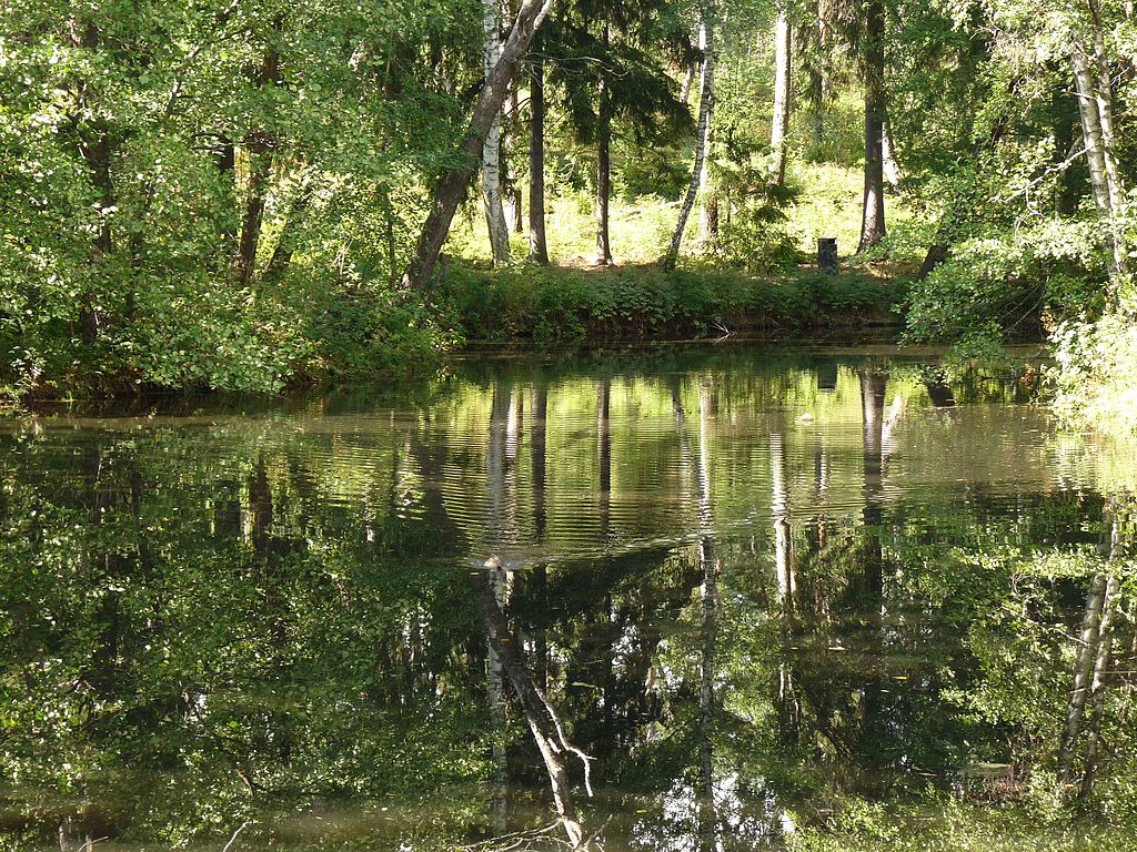 Lagune de l'Île de Seurasaari à Helsinki - Photo de Javier Casado Tirado