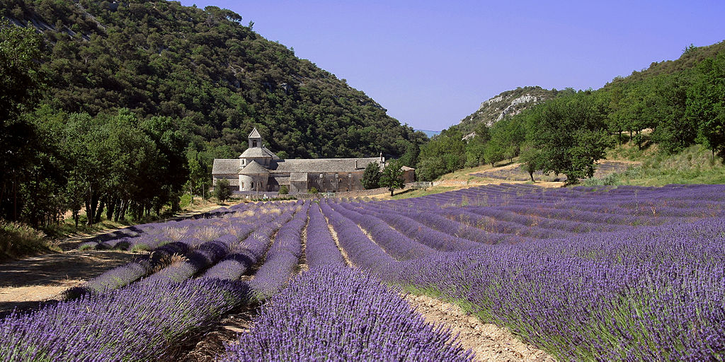 Abbaye de Sénanque à Gordes - Photo de Likissas - Licence CCBY30