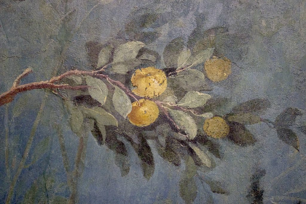 Antiquité : Fresque botanique de la Villa de Livia au Palazzo Massimo alle Terme à Rome.