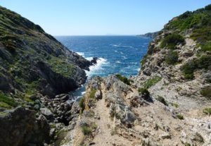 Autour de Hyères : île de Porquerolles, catamaran et jardin botanique