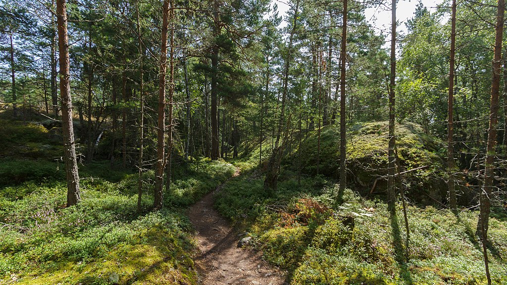 Forêt sur l'île de Grinda en Suède - Photo de Pierre Selim - Licence CCBY 3.0