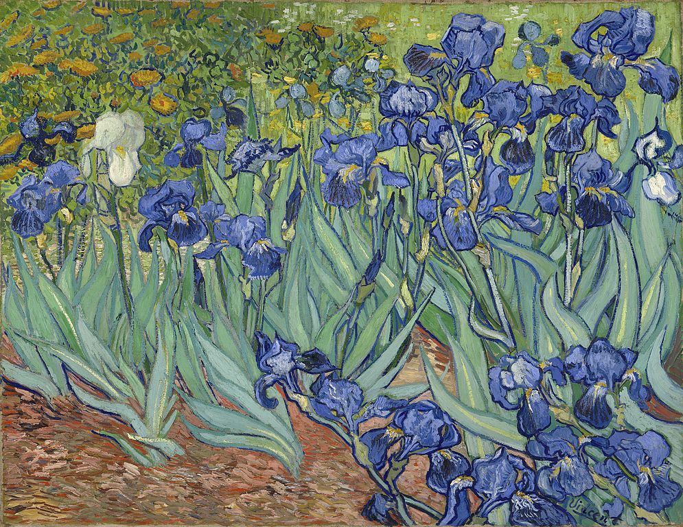 Toile de Vincent van Gogh "Les iris" (1889) au Getty Center, musée d'art de Los Angeles.