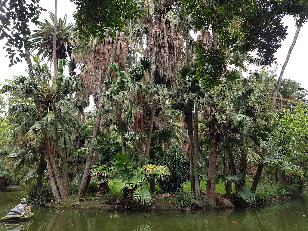 Jardin d'Essai d'Alger - Photo de Khaledinf - Licence ccbysa 4.0