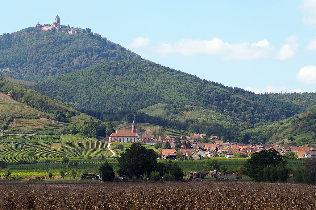 Chateau de Haut Koenigsbourg perché à 700 mètres d'altitude - Photo de BlueBreezeWiki - Licence ccbysa 3.0
