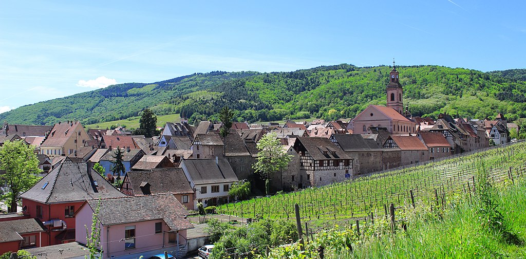 Vue sur Riquewihr en Alsace - Photo de lesfortstrotters -  Licence ccby 2.0
