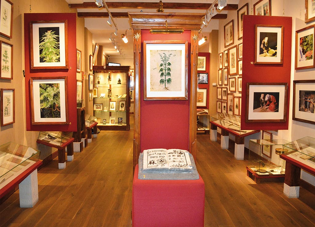 Lire la suite à propos de l’article Musée cannabis à Amsterdam : Hash, Marihuana & Hemp Museum