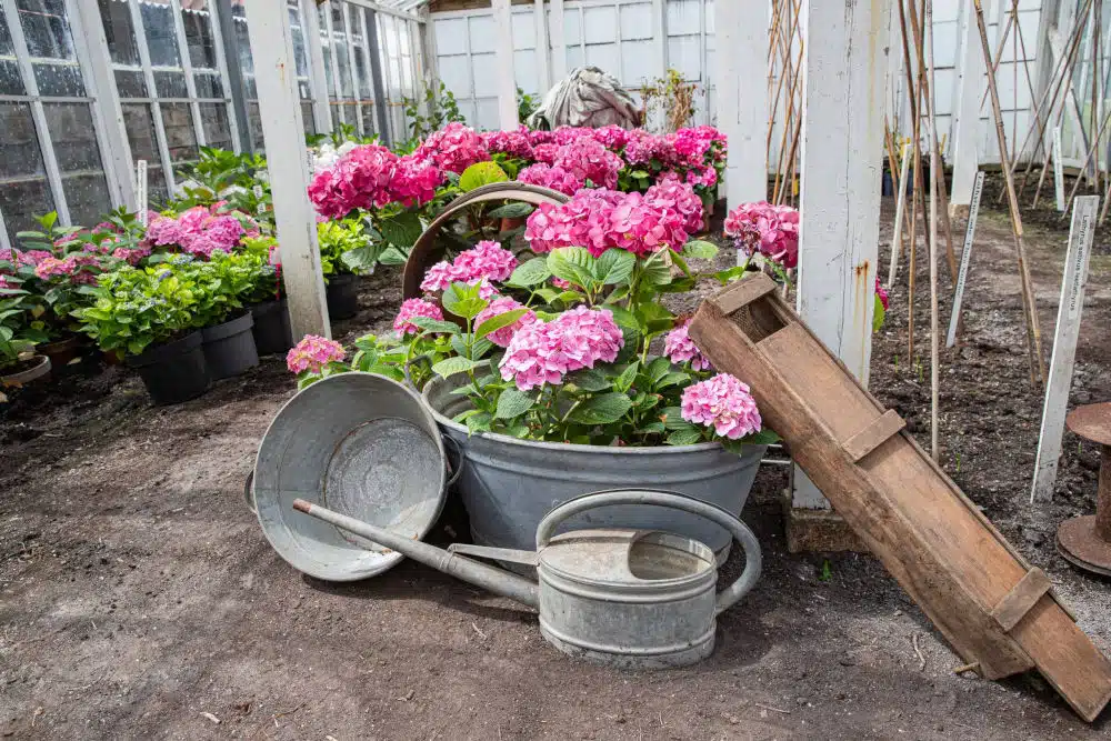 Historische Tuin Aalsmeer près d'Amsterdam.