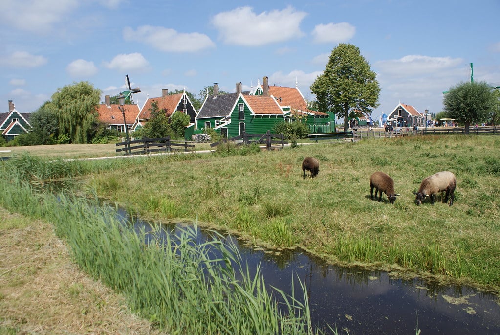 Vous avez tout : Moulin, maisons, moutons, polders, canaux, ponts. Ne reste plus qu’à prendre la photo.