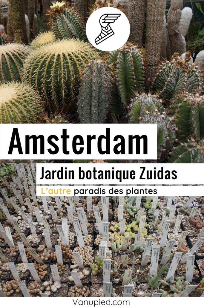 Jardin botanique Zuidas à Amsterdam