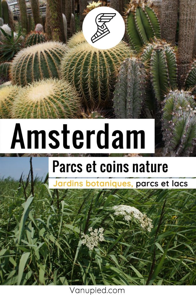 Parcs et coins de nature à Amsterdam : Beaux, reposants ou insolites.