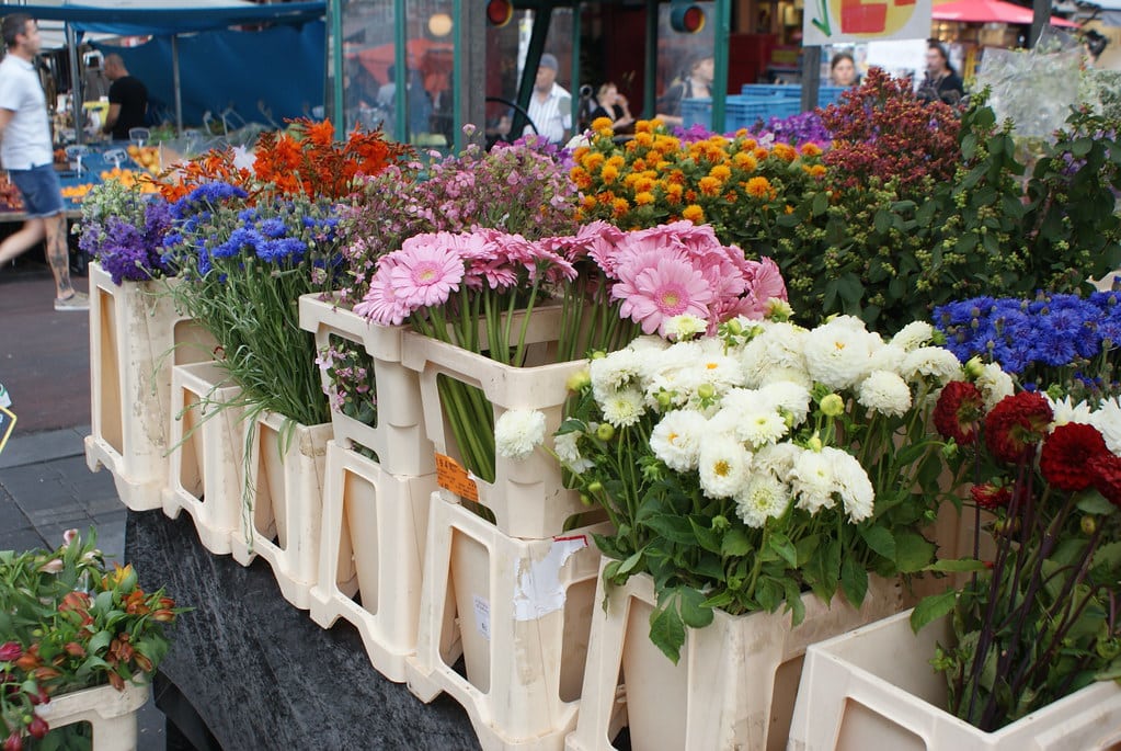 Fleurs sur le marché Cuypmarkt d’Amsterdam.