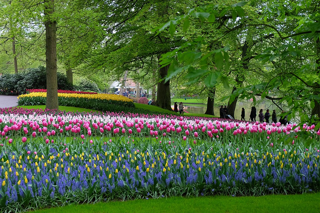 Parc de Keukenhof près d'Amsterdam aux Pays-Bas au printemps - Photo de Julien Chatelain