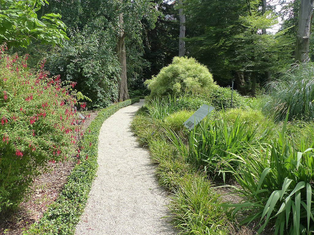 Sentier du jardin botanique Hortus Botanicus dans le quartier de Plantage à Amsterdam - Photo de Elekes Andor