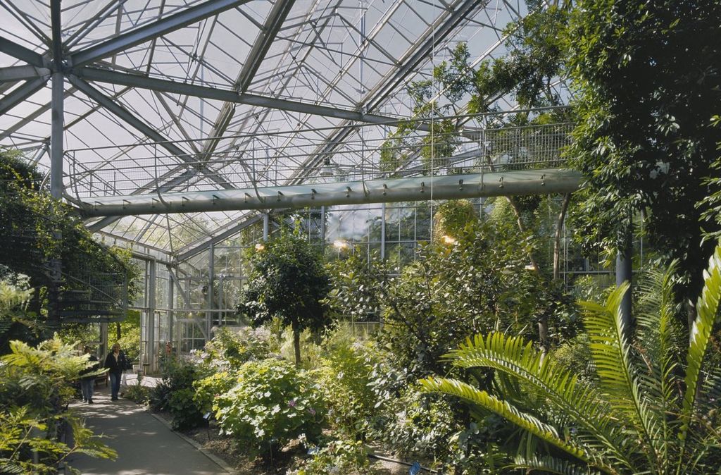 Dans une serre du jardin botanique Hortus Botanicus dans le quartier de Plantage à Amsterdam - Photo de Hoogewoud-R