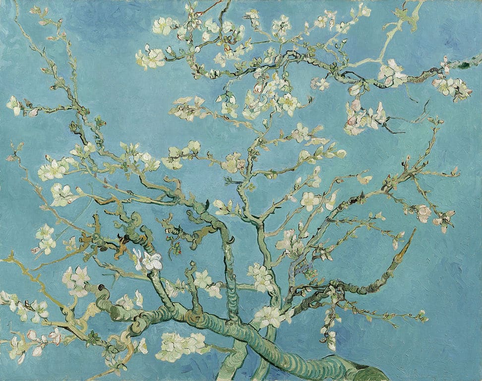 "Amandiers en fleurs" par van Gogh au Musée van Gogh dans le quartier des Musées d'Amsterdam.