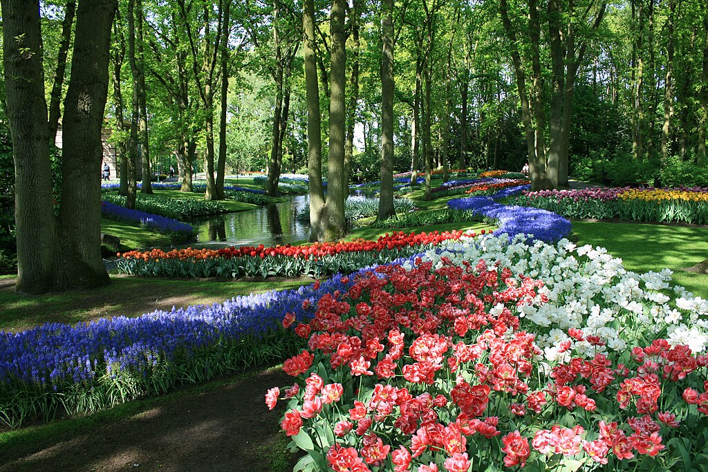 > Jardin Keukenhof, triomphe de fleurs près d'Amsterdam.