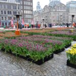 Amsterdam 2026 : Agenda culturel, calendrier des festivals et évenements