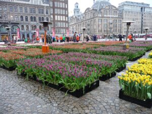 Amsterdam 2026 : Agenda culturel, calendrier des festivals et évenements