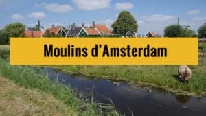 Moulins d&rsquo;Amsterdam (Zaanse Schans) : Paysage des Pays-Bas