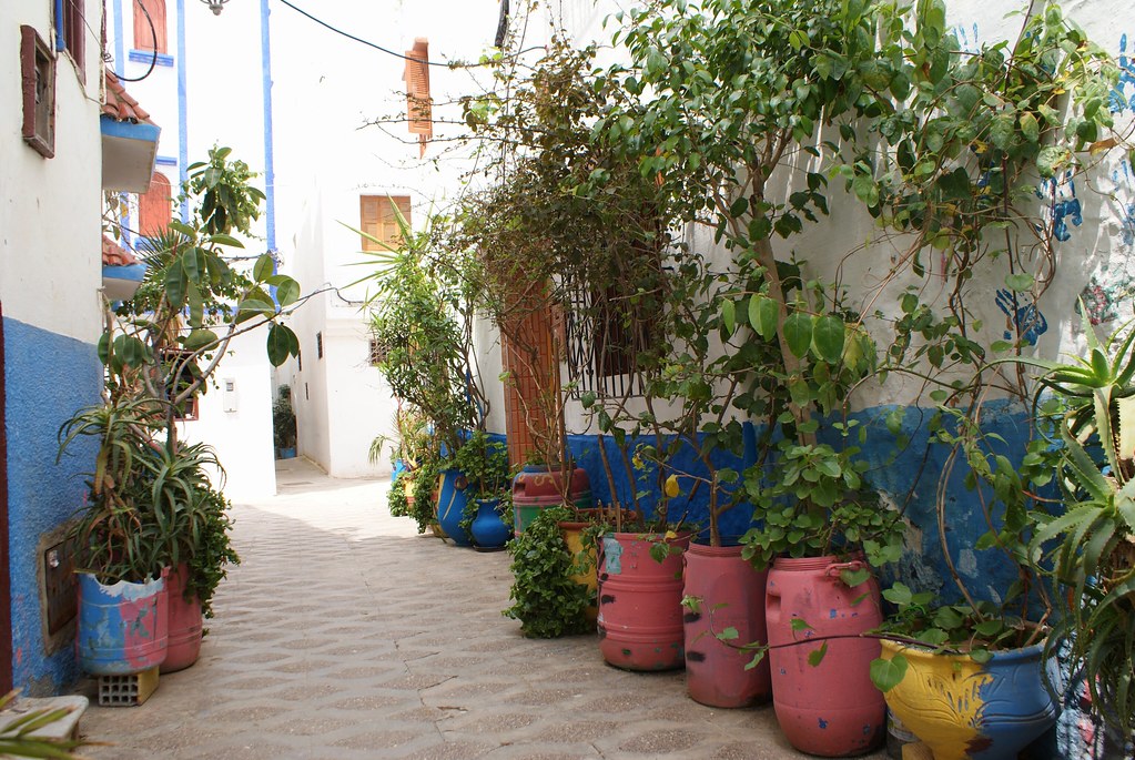Allée fleurie et tranquille d’Azilah.