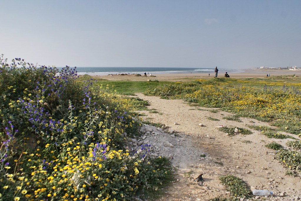 L’entrée sur la plage d’Asilah ville (pas sur la petite plage de la médina).