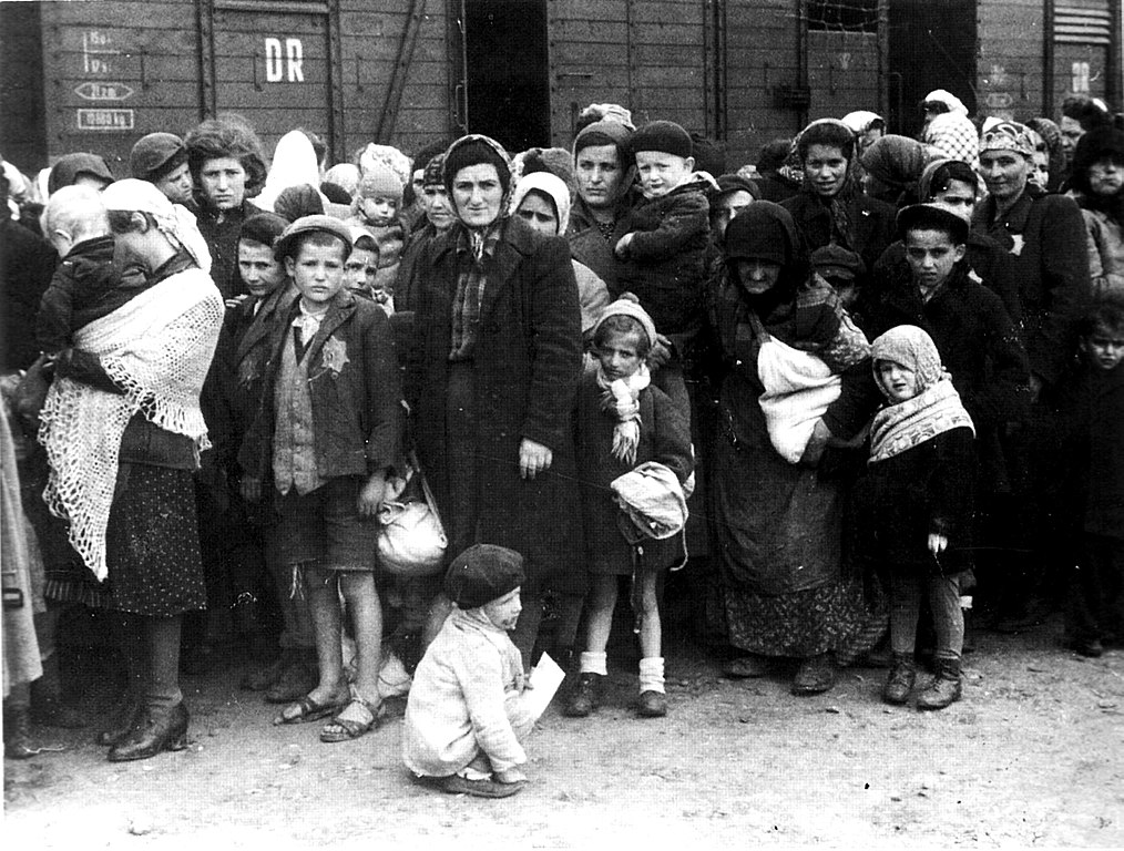 Arrivée de Juifs hongrois à Auschwitz Birkenau : Tous les enfants sur la photo ont été gazés.