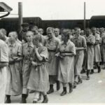 Peuple d&rsquo;Auschwitz : Étoiles, triangles, médecins, kapos et nombres de morts