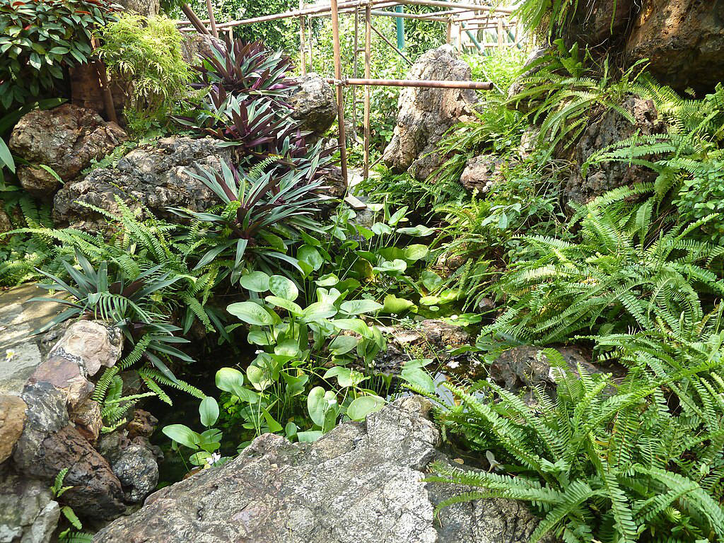 Jardin dans le Grand Palais de Bangkok en Thailande – Photo de Deror Avi