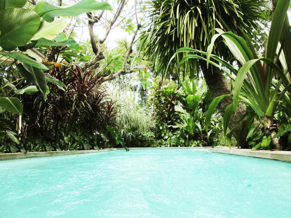 Piscine de l'auberge Refill Now à Bangkok.
