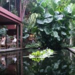 Météo Bangkok : Prévision à 15 jours, climat & quand venir ?