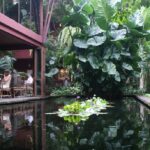Météo Bangkok : Prévision à 15 jours, climat & quand venir ?