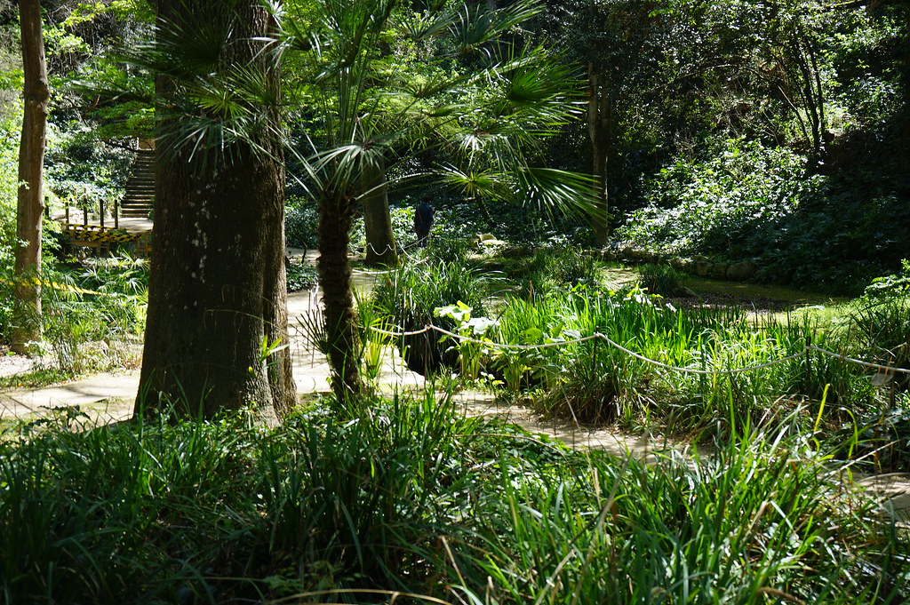 Dans l'ancien jardin botanique de Barcelone dans le quartier de Montjuic.