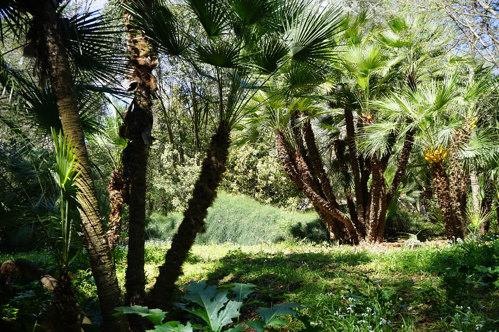 Dans l'ancien jardin botanique de Barcelone.