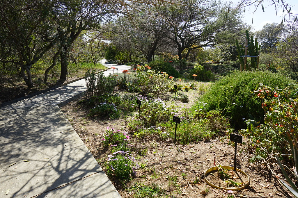 Dans le jardin botanique de la colline de Montjuic à Barcelone.