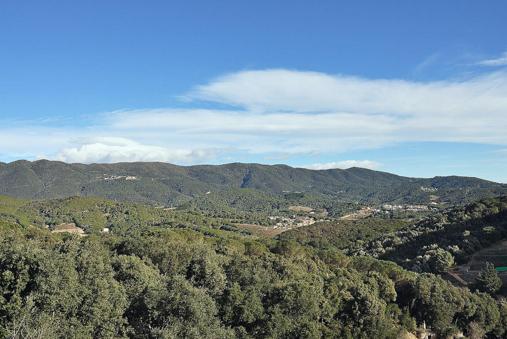 Parc del Montnegre au dessus de Barcelone - Phoro d'Alberto G Rovi - Licence ccby 3.0