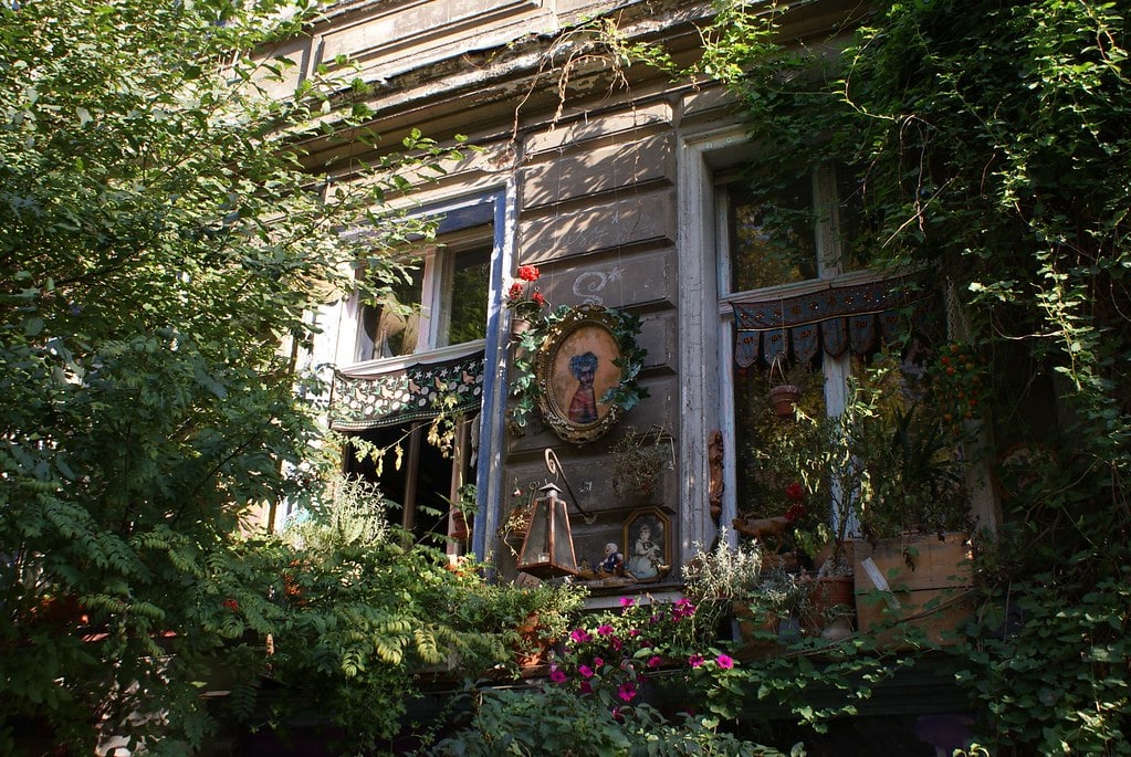 Fenêtres décorées et plantes luxuriantes dans le quartier de Prenzlauer Berg à Berlin.