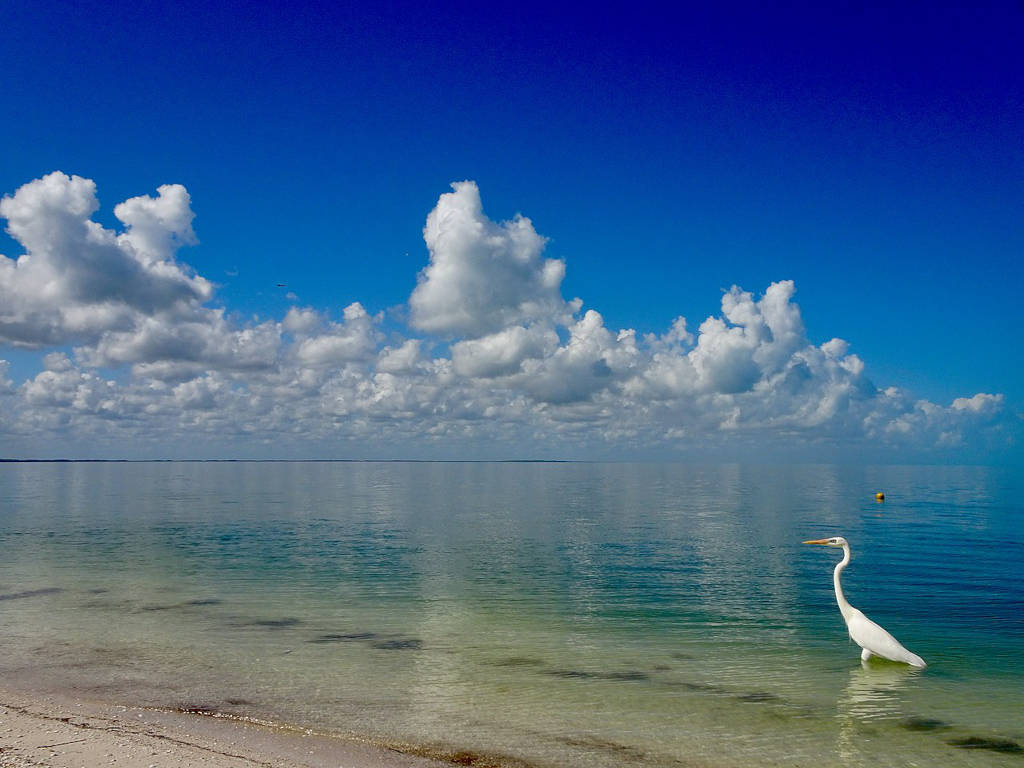 Plage sur l'île de Holbox - Photo de Bruno Rijsman - Licence ccbysa 2.0