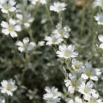 Météo Bologne : Prévision à 15 jours, climat & quand venir ?