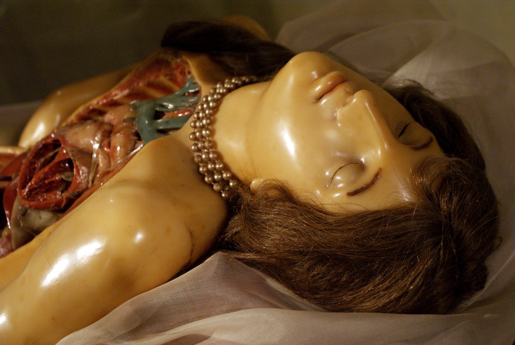Insolite et incontournable : Etrange modèle d'anatomie féminine, lascive, largement dépecée et habillée d'un collier de perles.