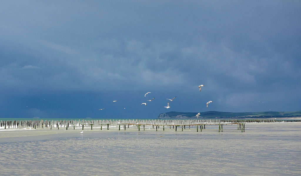 Grands sites : Blanc nez - Photo de velvet -Licence ccbysa 3.0.