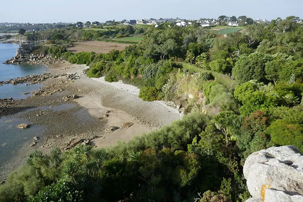 Jardin exotique de Roscoff en Bretagne - Photo de Wilrooij - Licence ccbysa 4.0