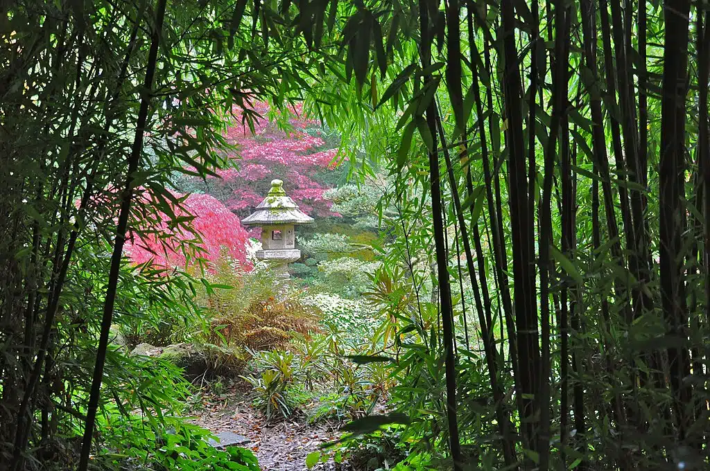 Dans le jardin botanique de Haute Bretagne - Photo de Foltière - Licence ccbysa 3.0